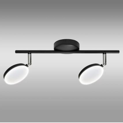 Spot LED CAPRI 2xLED/5W/230V