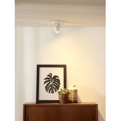 Spot LED dimabil Lucide 26994/05/31 RILOU 1xGU10/5W/230V