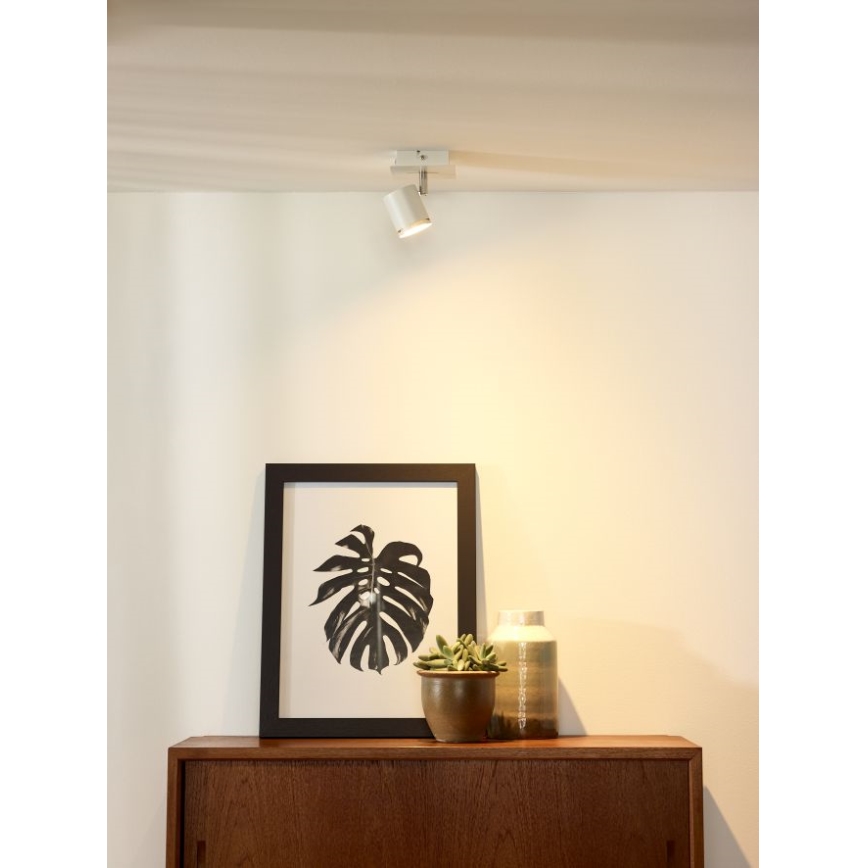 Spot LED dimabil Lucide 26994/05/31 RILOU 1xGU10/5W/230V