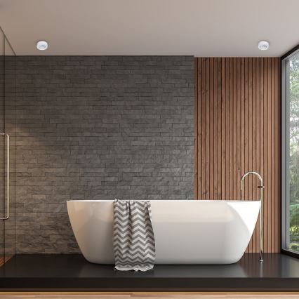 Plafonier cu spot NUSA 1xGU5,3/MR16/50W/12V rotund alb