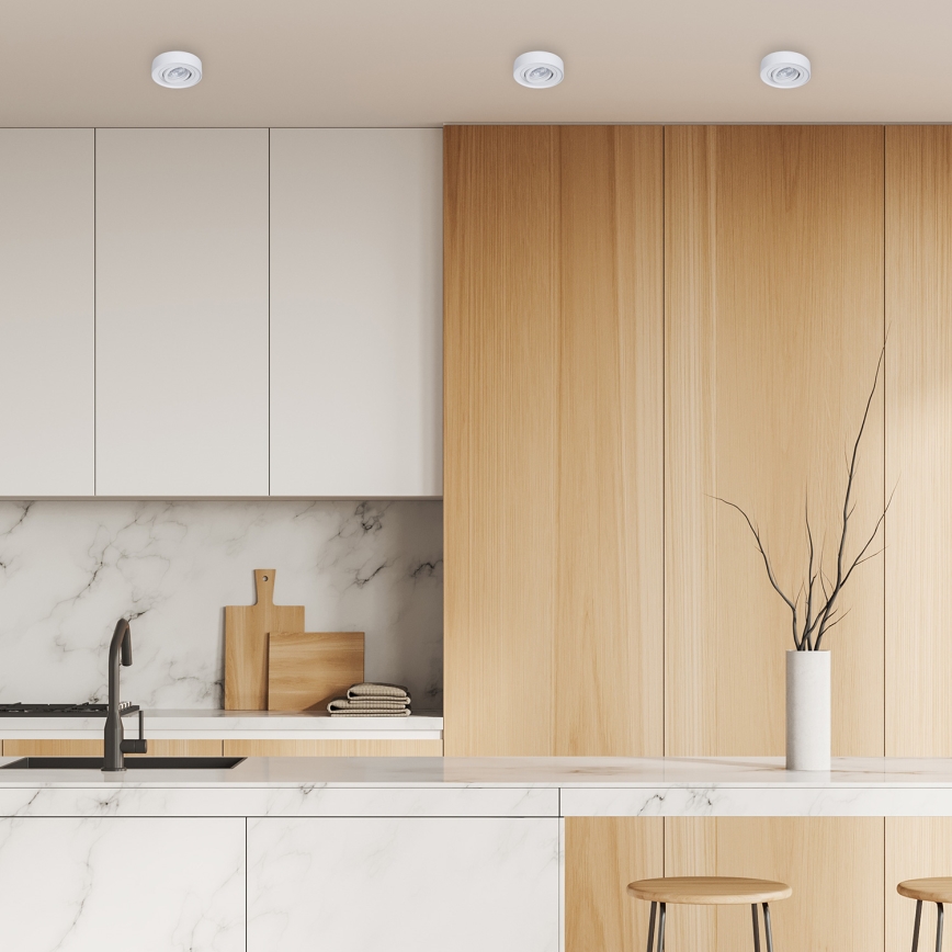 Plafonier cu spot NUSA 1xGU5,3/MR16/50W/12V rotund alb