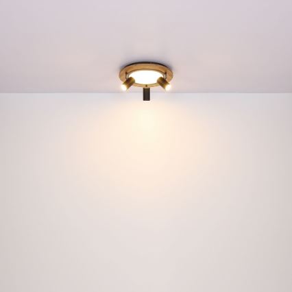 Spot LED 3xGU10/5W/230V + LED/15W/230V Globo