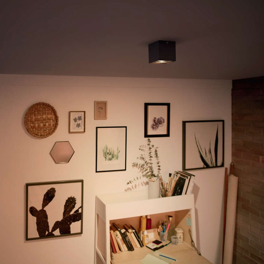 Philips 50491/30/P0 - Lampa spot LED MYLIVING BOX 1xLED/4,5W/230V