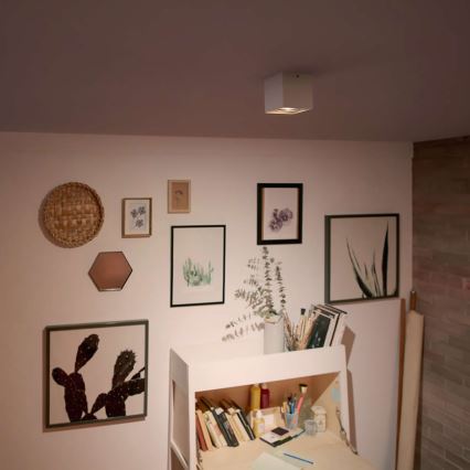 Philips 50491/31/P0 - Lampa spot LED MYLIVING BOX 1xLED/4,5W/230V