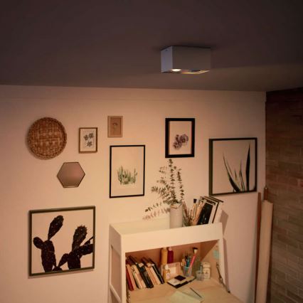 Philips 50492/31/P0 - Lampa spot LED MYLIVING BOX 2xLED/4,5W/230V