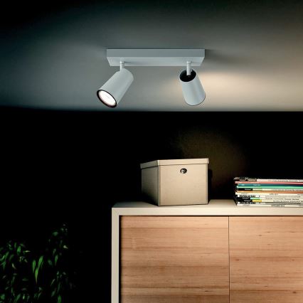 Philips 50572/31/PN - Lampa spot MYLIVING PAISLEY 2xGU10/10W/230V