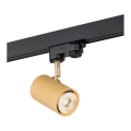 Spot LED pentru sistem de șină Argon 4323 HAGA LED/9W/230V auriu