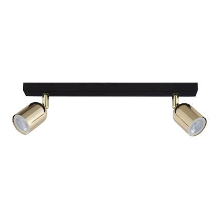 Spot LED RGBW dimabil TOP 2xGU10/6,5W/230V 2700-6500K negru/auriu