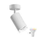Spot LED RGBW reglabil pentru baie TURYN 1xGU10/6W/230V 3000K Wi-Fi IP44 alb