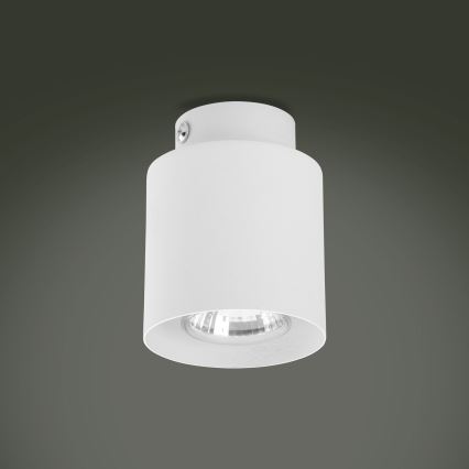 Spot LED RGBW reglabil VICO WHITE 1xGU10/6,5W/230V 2700-6500K