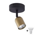 Spot LED TOP 1xGU10/10W/230V auriu/negru