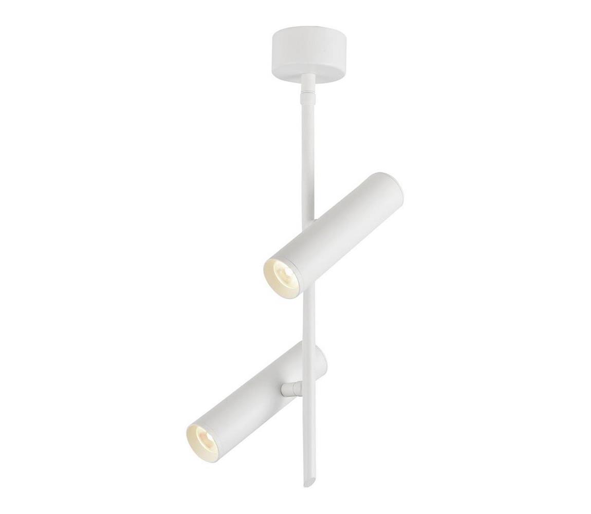 Spot LED TUBA 2xLED/10W/230V alb