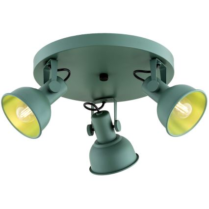 Spot LENORA 3xE14/7W/230V verde Argon 6265
