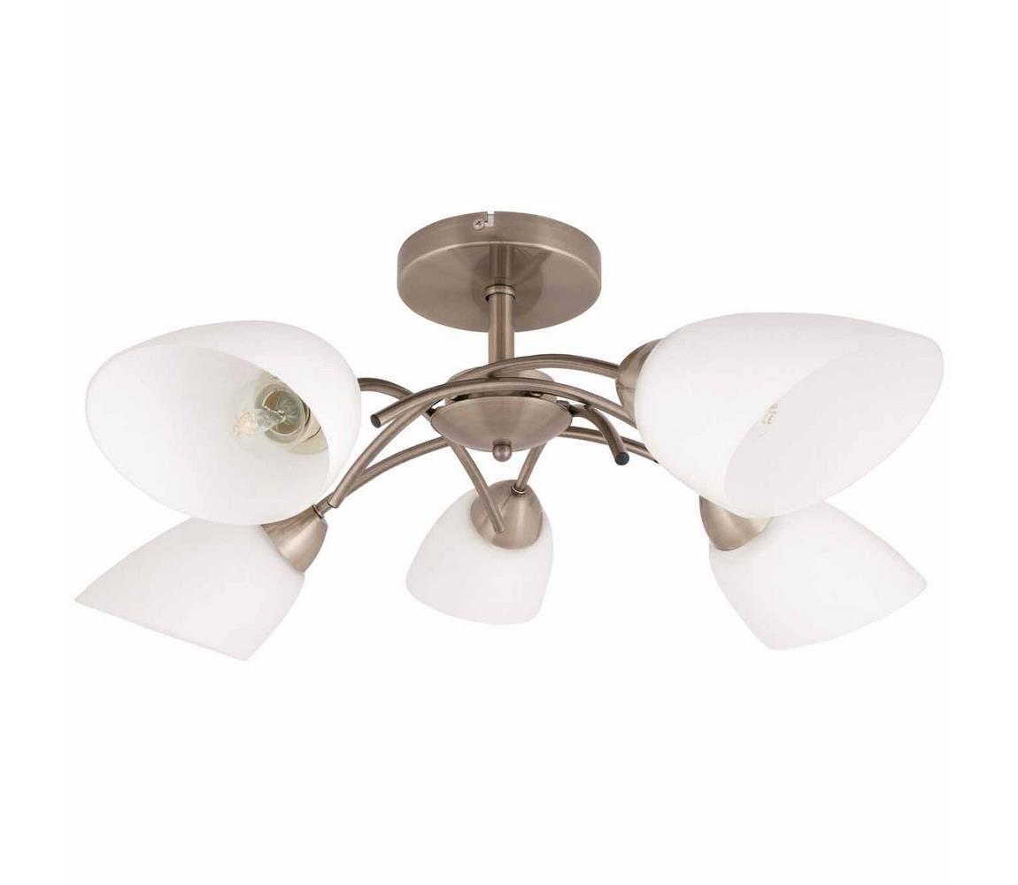 Spot-Light 8141511 - Lustră aplicată VILETTA 5xE27/60W/230V