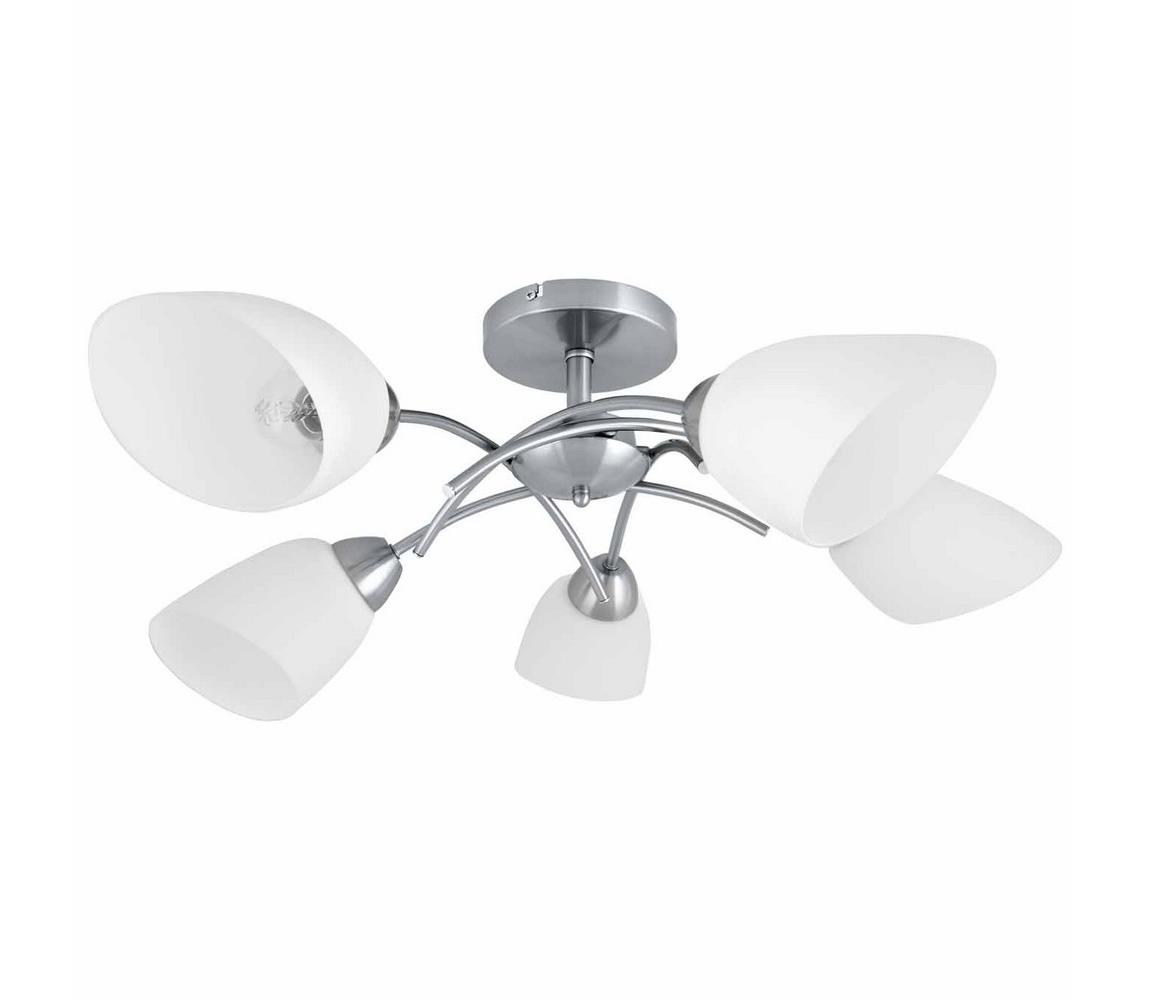 Spot-Light 8141527 - Lustră aplicată VILETTA 5xE27/60W/230V