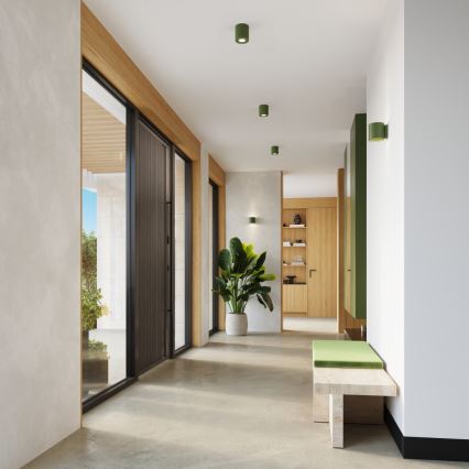 Spot ORBIS 1xGU10/10W/230V beton/verde