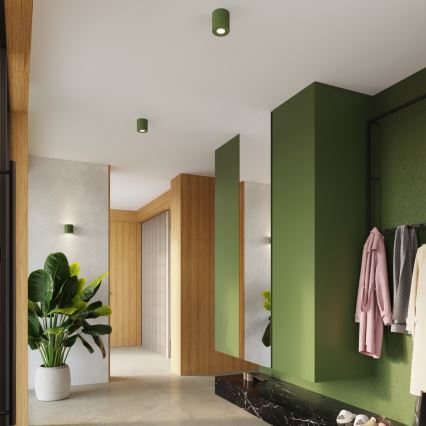 Spot ORBIS 1xGU10/10W/230V beton/verde