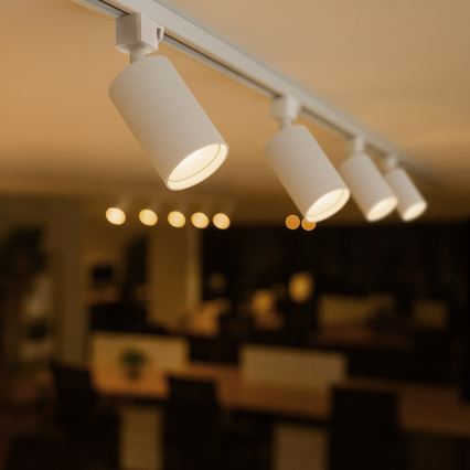 Spot pentru șină monofazată TIGER 1xGU10/10W/230V, alb