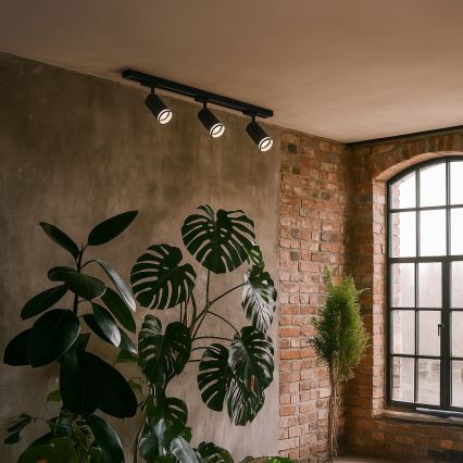 Spot pentru șină PIPE 3xGU10/10W/230V negru