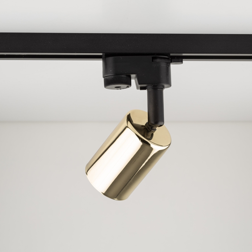 Spot pentru sistem de șină TOP 1xGU10/10W/230V auriu/negru