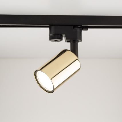 Spot pentru sistem de șină TOP 1xGU10/10W/230V auriu/negru