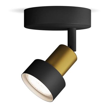 Spot Philips CONDUIT 1xGU10/5W/230V negru/alamă