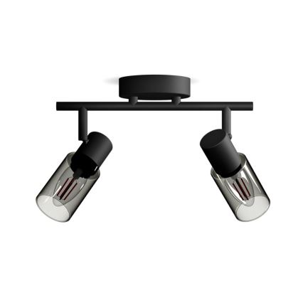 Spot Philips PALMS 2xE14/25W/230V