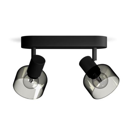 Spot Philips SLEET 2xE14/25W/230V