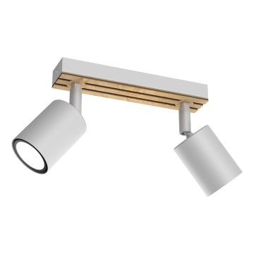 Spot TERRA 2xGU10/8W/230V alb