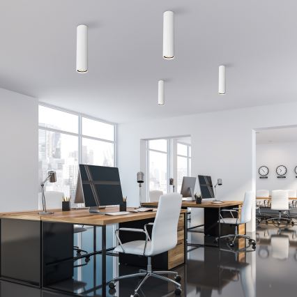 Spot TUNE L 1xGU10/10W/230V, 24 cm, alb