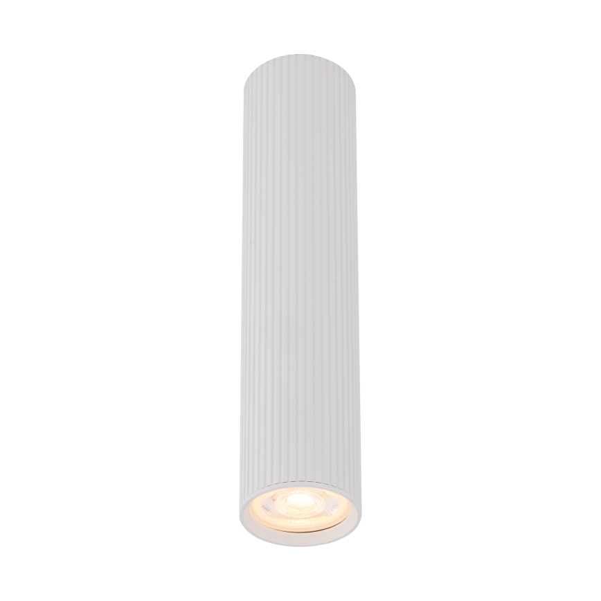 Spot TUNE L 1xGU10/10W/230V, 24 cm, alb