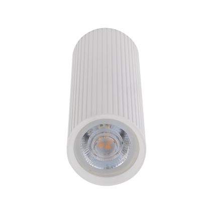 Spot TUNE M, 1x GU10/10W/230V, 17 cm, alb