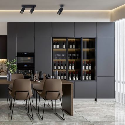 Spot VERTICAL 2xGU10/8W/230V negru