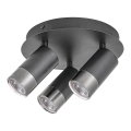 Spot ZIRCON 3xGU10/5W/230V Rabalux