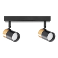 Spot Zuma Line 2xGU10/50W/230V negru/auriu