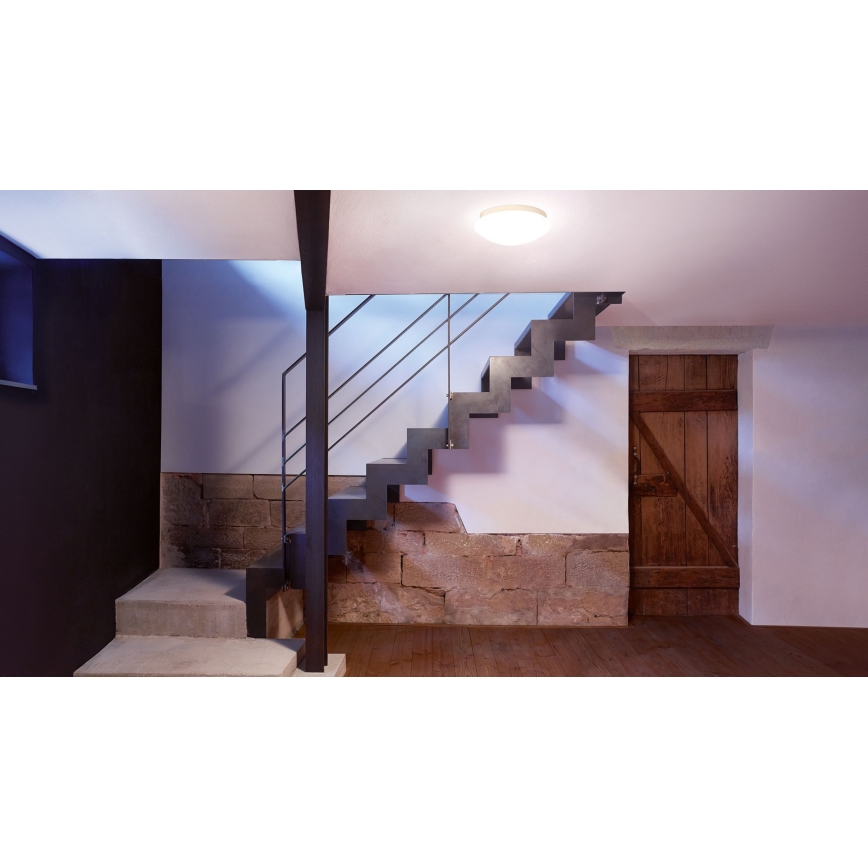 STEINEL 035105 - LED Corp de iluminat baie RS 16 LED G LED/9,5W/230V