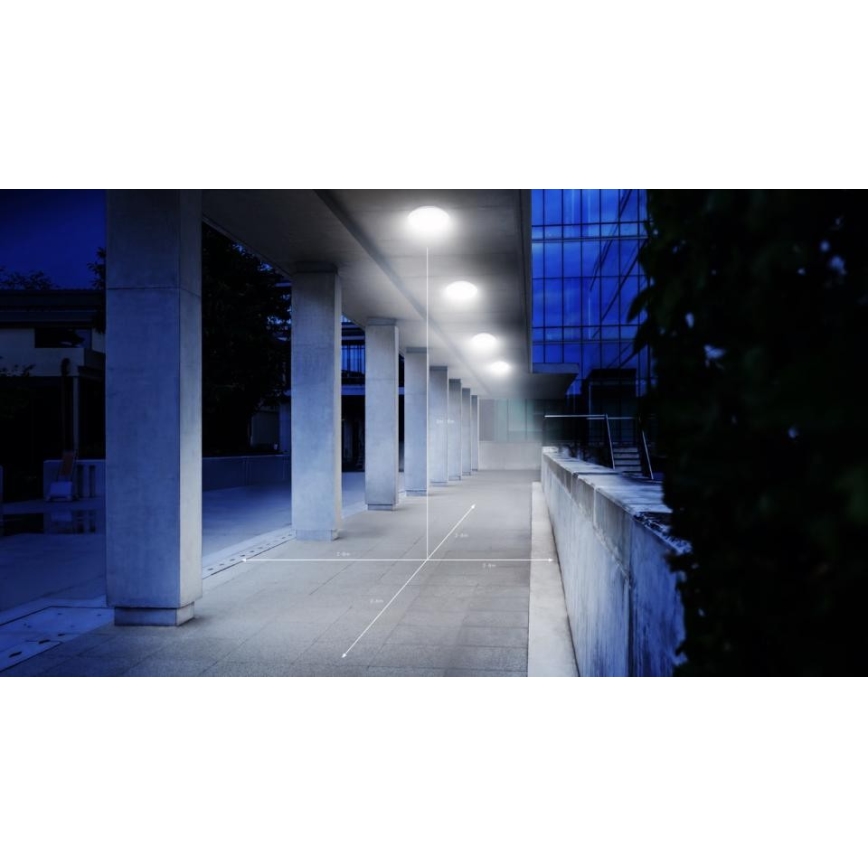 Steinel 035440 - LED Lampă exterior cu senzor QUATTRO LED/10W/230V IP54