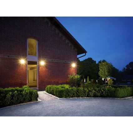 Steinel 052553 - LED Proiector cu senzot LS150LED 1xLED/20,5W/230V alb