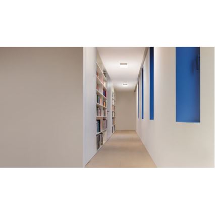 STEINEL 52508 - LED plafonieră cu senzor RS LED M2 LED/9,5W/230V crom