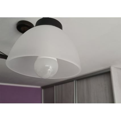 Sticlă de schimb pentru candelabru cu soclu E27, Ø 18 cm, din sticlă mată