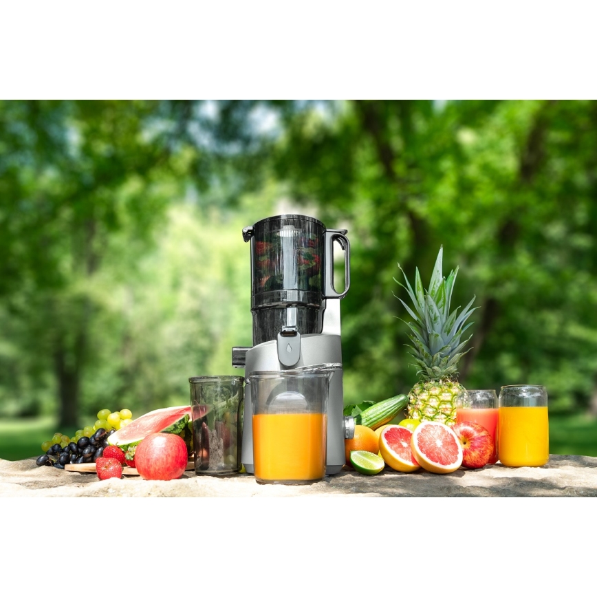 Storcător melcat pentru fructe și legume Concept LO7120 JUICY 250W/230V gri