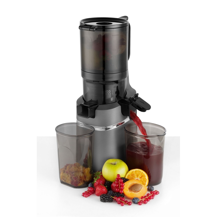 Storcător melcat pentru fructe și legume Concept LO7120 JUICY 250W/230V gri