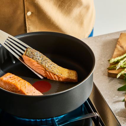 Tefal - Cratiță INGENIO Excellence Fusion 20 cm