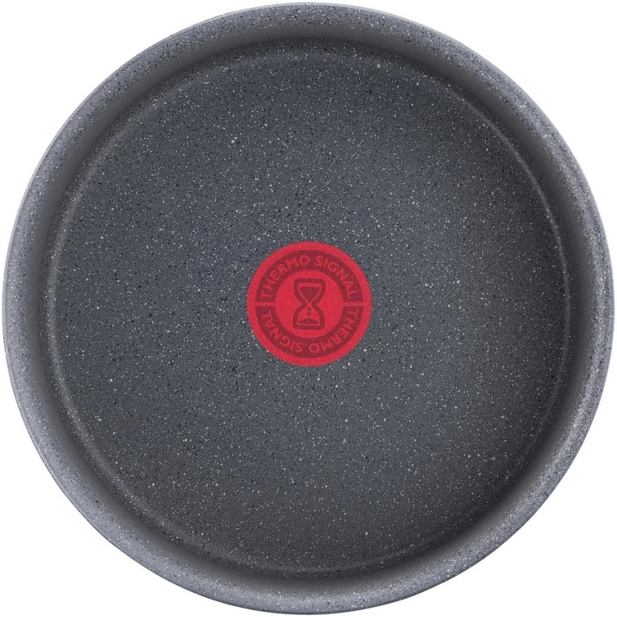 Tefal - Cratiță INGENIO NATURAL FORCE 20 cm