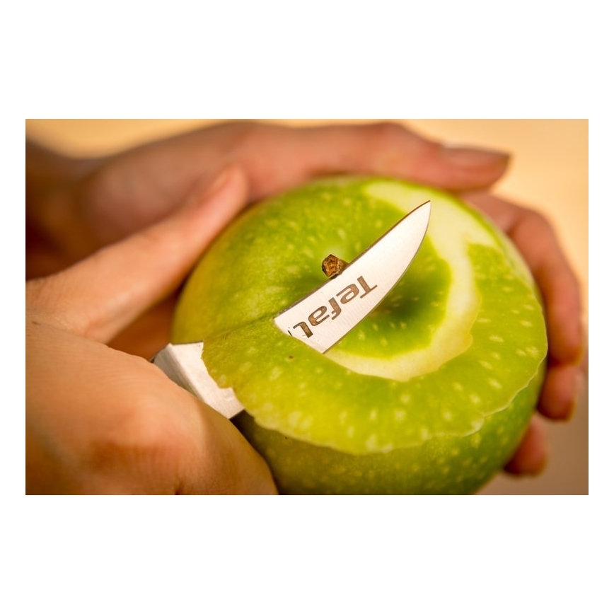 Tefal - Cuțit inox pentru decupat ICE FORCE 7 cm crom lucios/negru