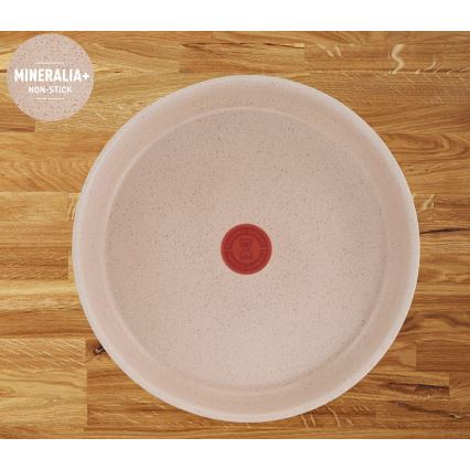 Tefal INGENIO DELIGHT - Set de vase, 6 piese