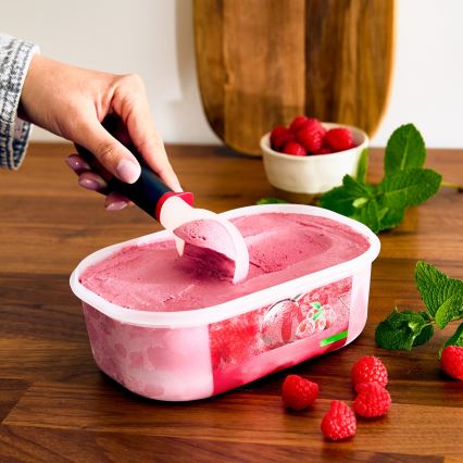 Tefal INGENIO - Lingură pentru înghețată