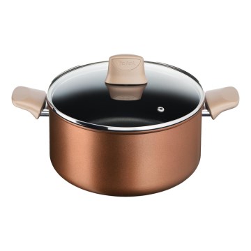 Tefal - Oală cu capac RESPECT Ø 24 cm