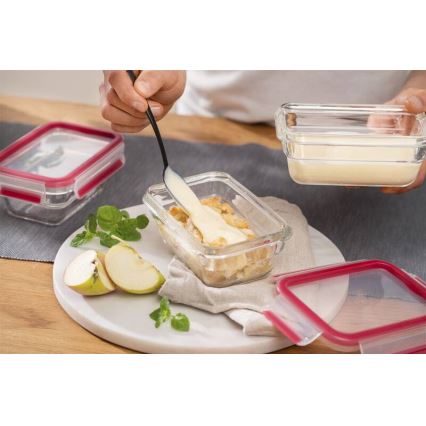 Tefal - Recipient pentru alimente MSEAL GLASS, 0,45 l, roșu/sticlă