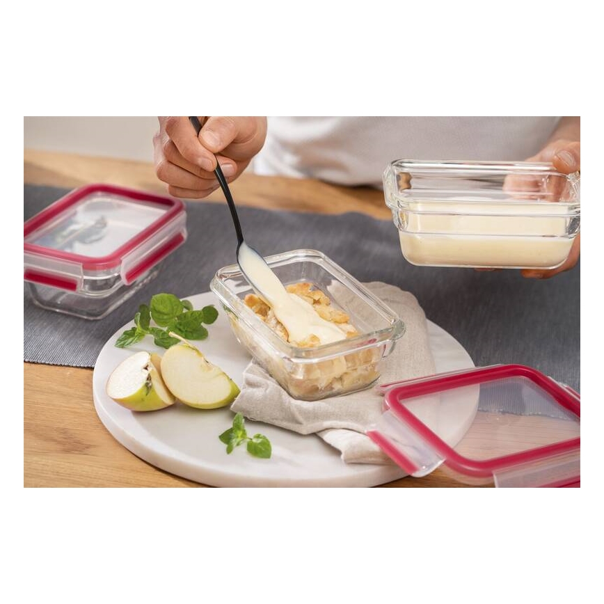 Tefal - Recipient pentru alimente MSEAL GLASS, 0,45 l, roșu/sticlă